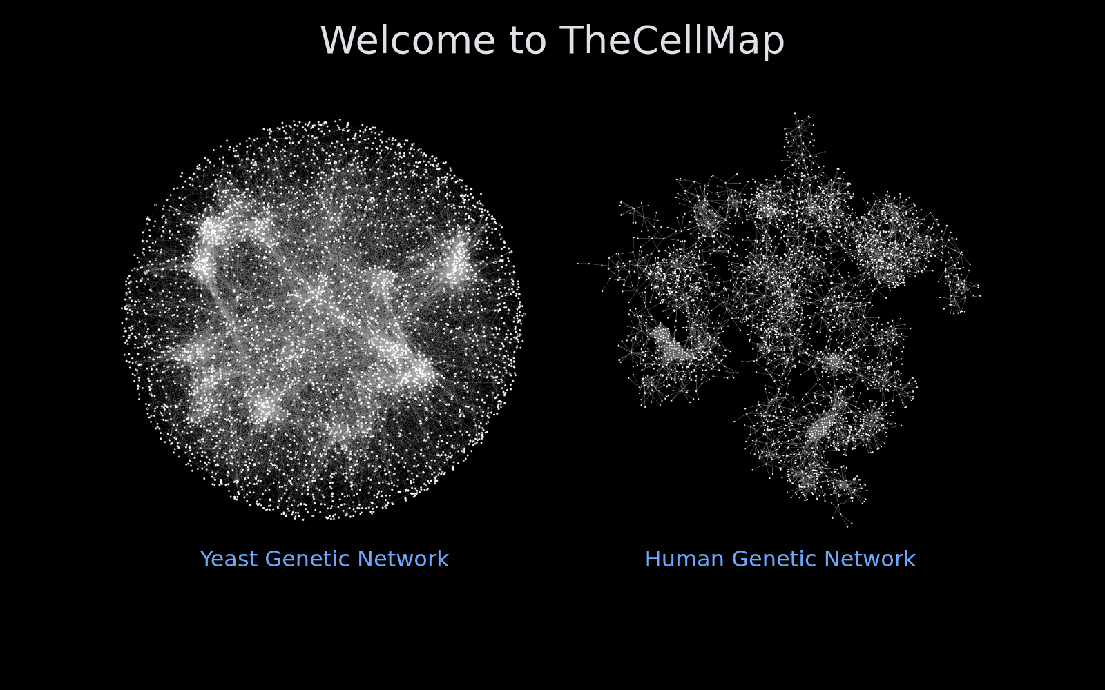 The Cell Map 数据集图片