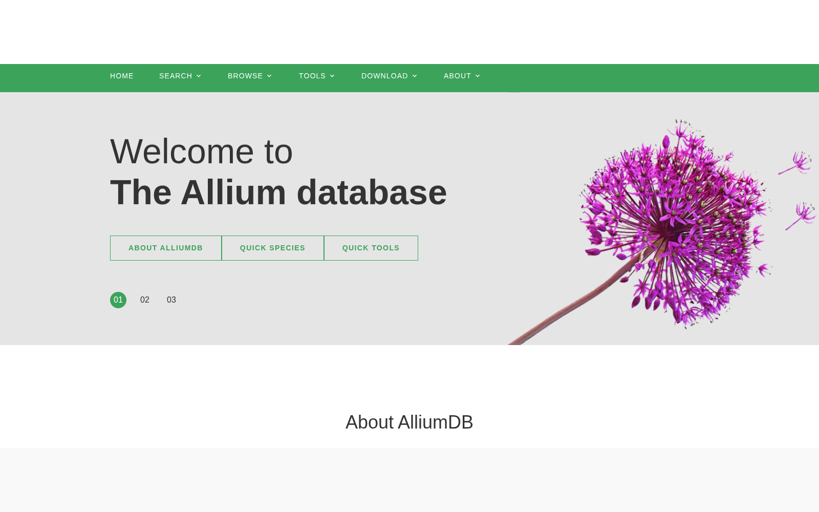 AlliumDB 数据集图片