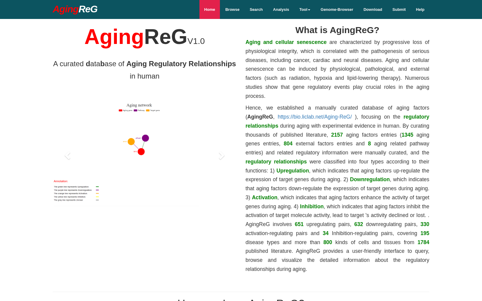 AgingReG 数据集图片