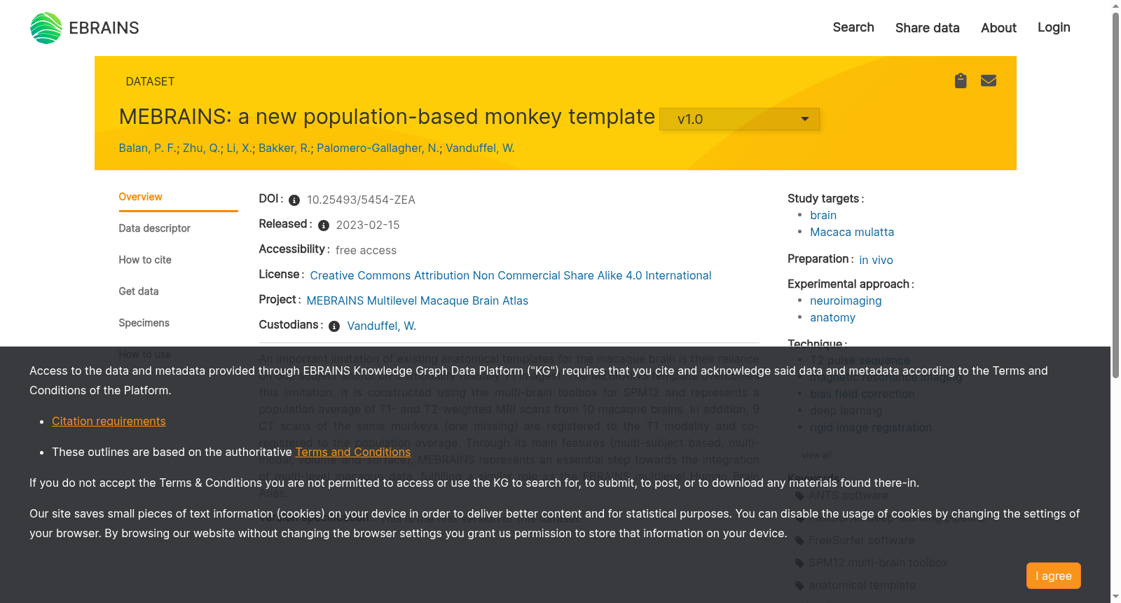 MEBRAINS: a new population-based monkey template (v1.0) 数据集图片
