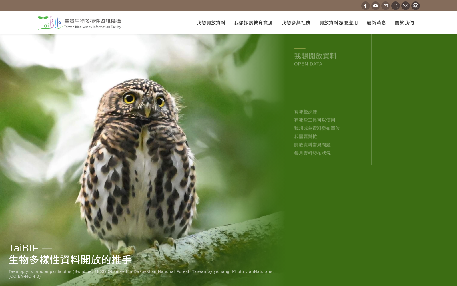 taibif 数据集图片