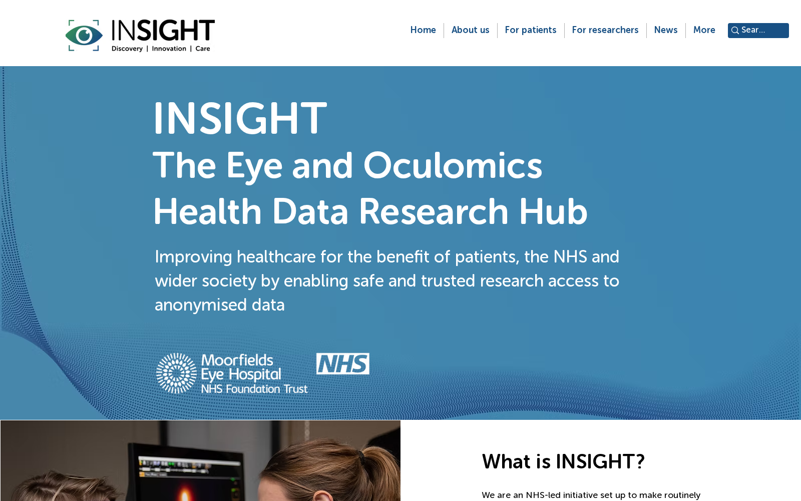 INSIGHT 数据集图片