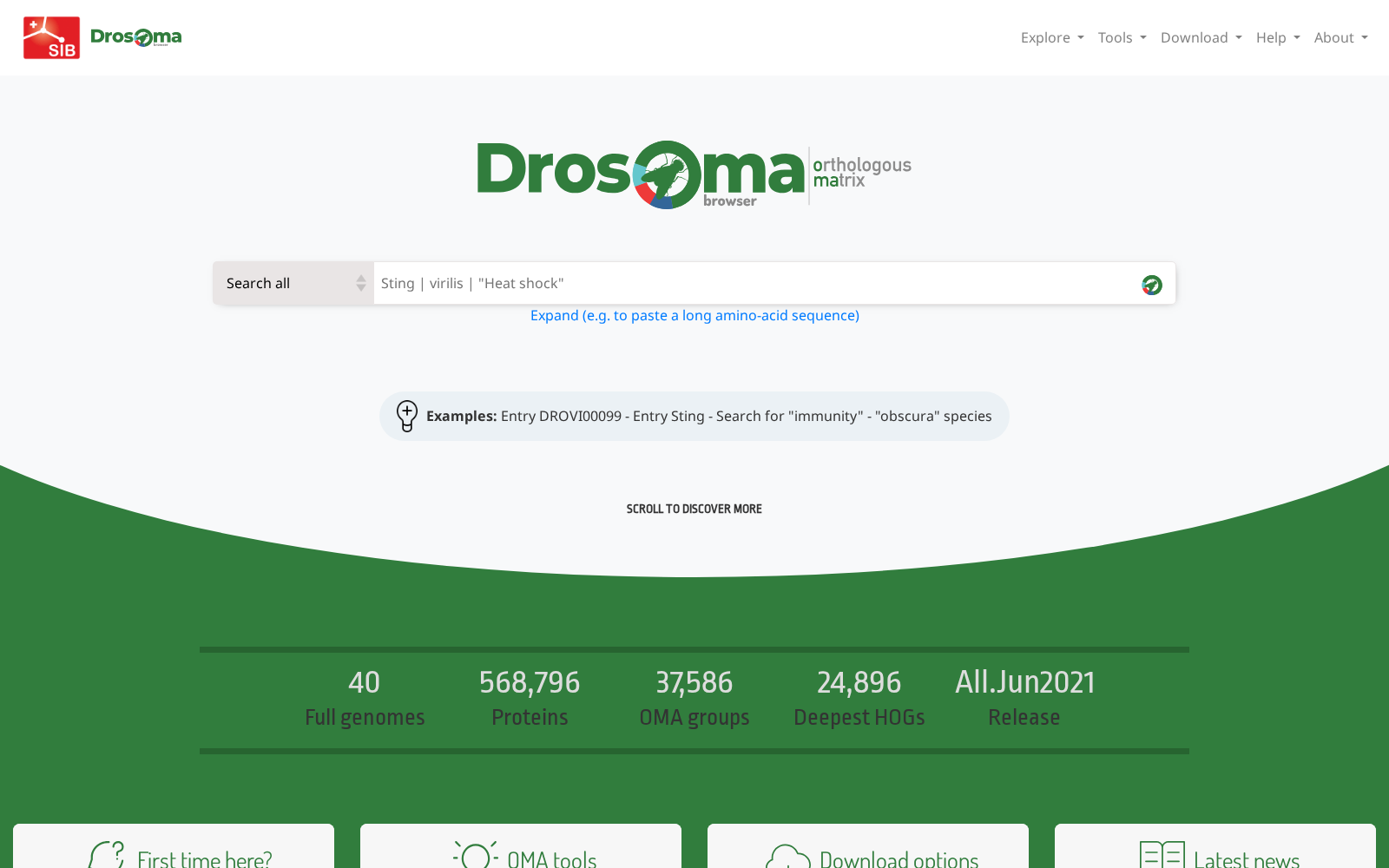 DrosOMA 数据集图片