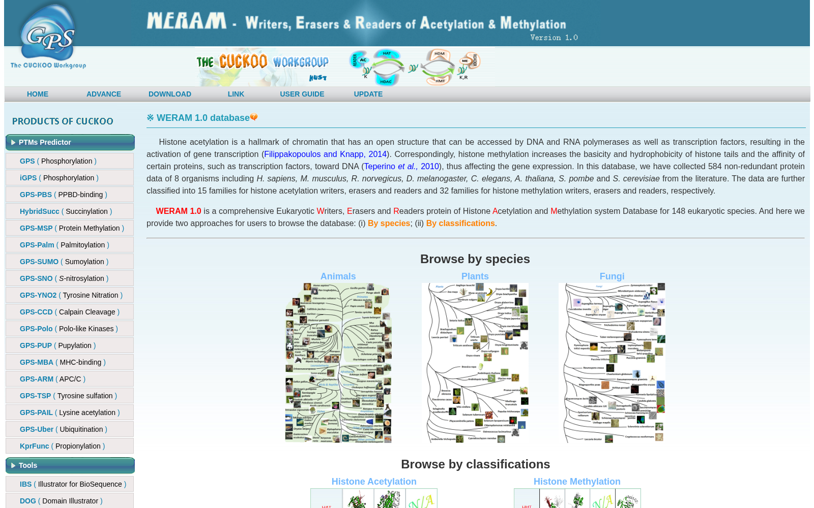 WERAM 数据集图片