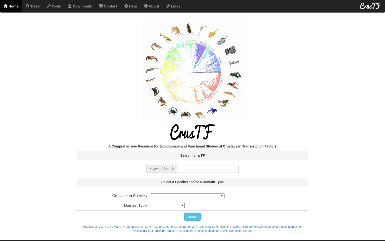 CrusTF 数据集图片