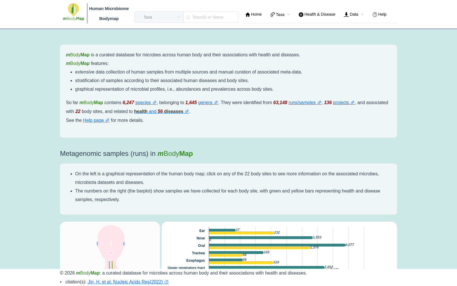 mBodyMap 数据集图片