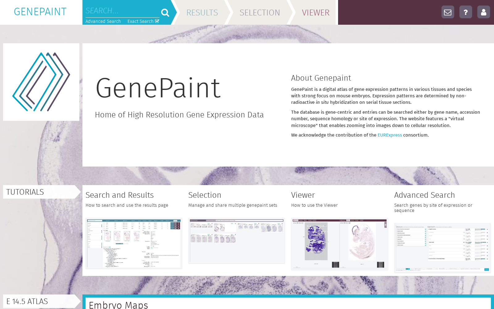 GenePaint.org 数据集图片