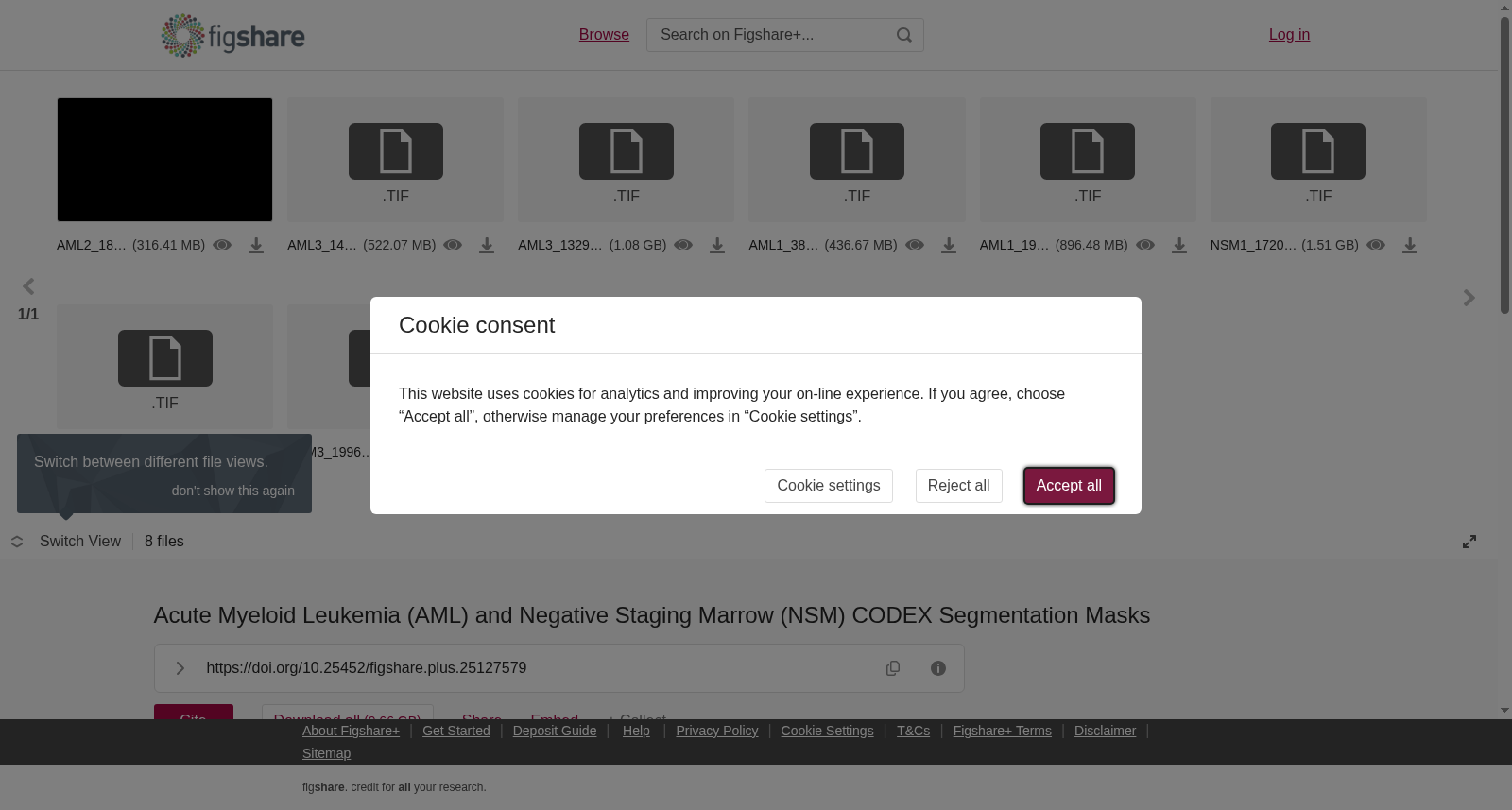 Acute Myeloid Leukemia (AML) and Negative Staging Marrow (NSM) CODEX Segmentation Masks 数据集图片