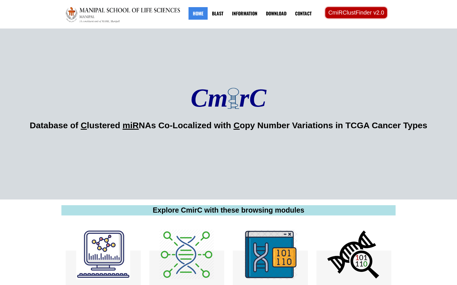 CmirC 数据集图片