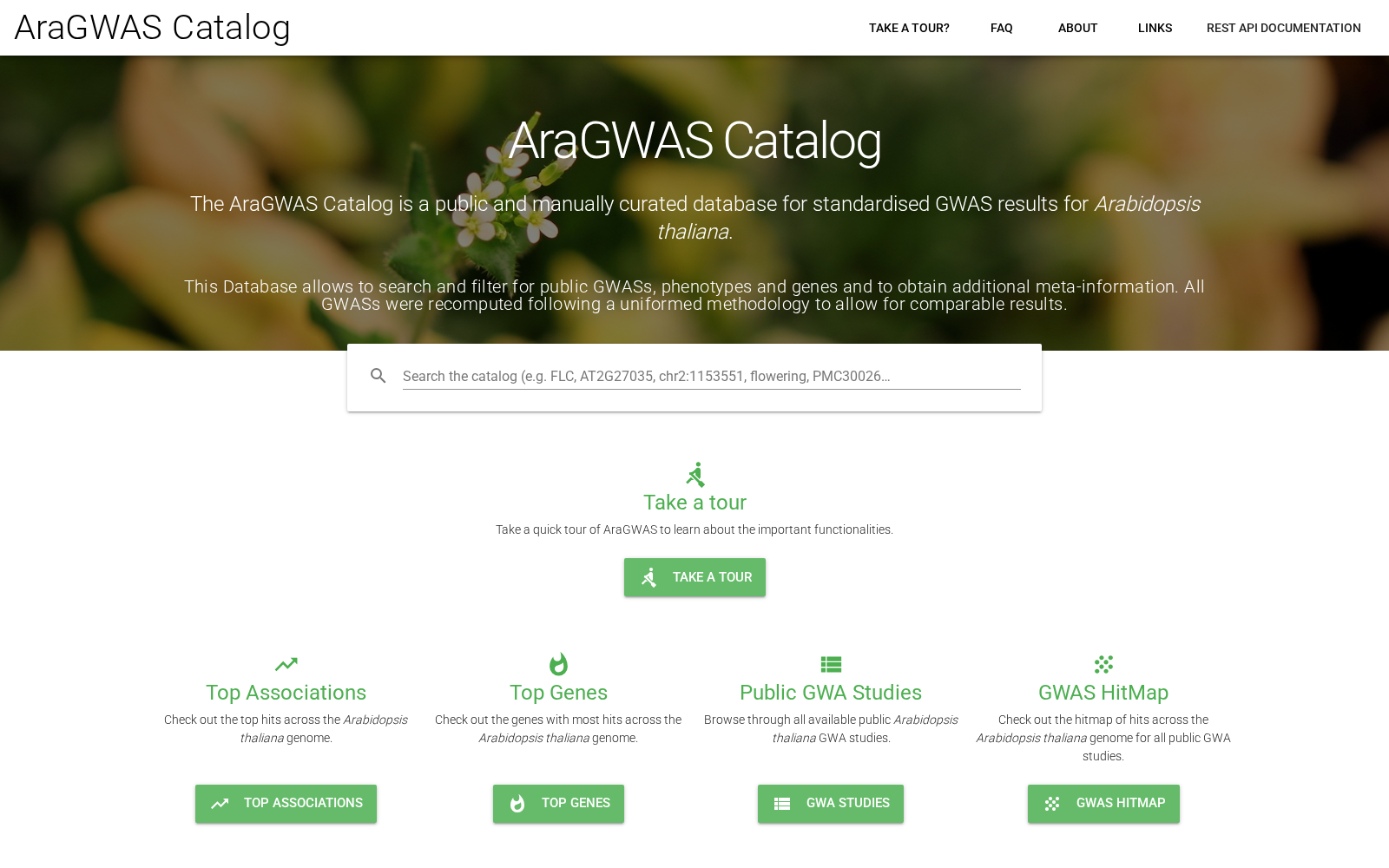 AraGWAS Catalog 数据集图片
