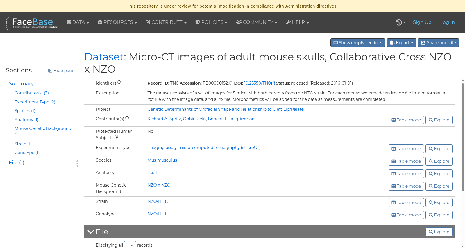 Micro-CT images of adult mouse skulls, Collaborative Cross NZO x NZO 数据集图片