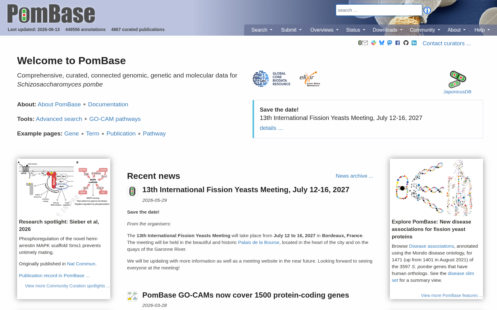 PomBase 数据集图片
