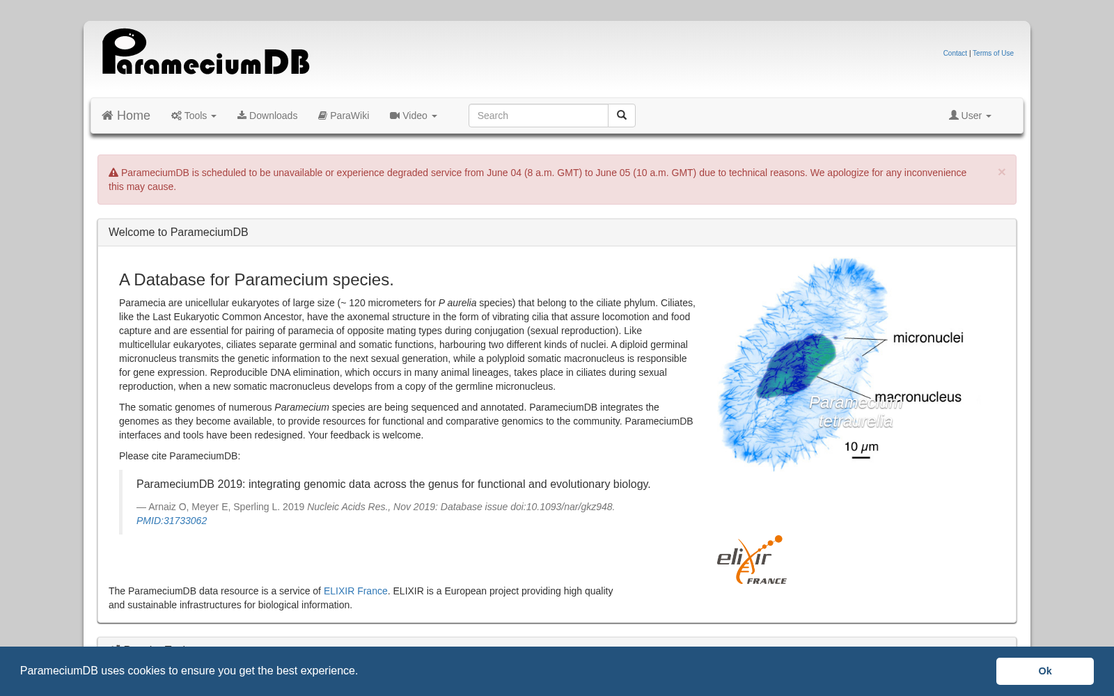 ParameciumDB 数据集图片