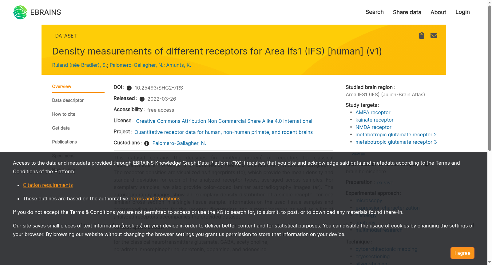 Density measurements of different receptors for Area ifs1 (IFS) [human, v1.0] 数据集图片