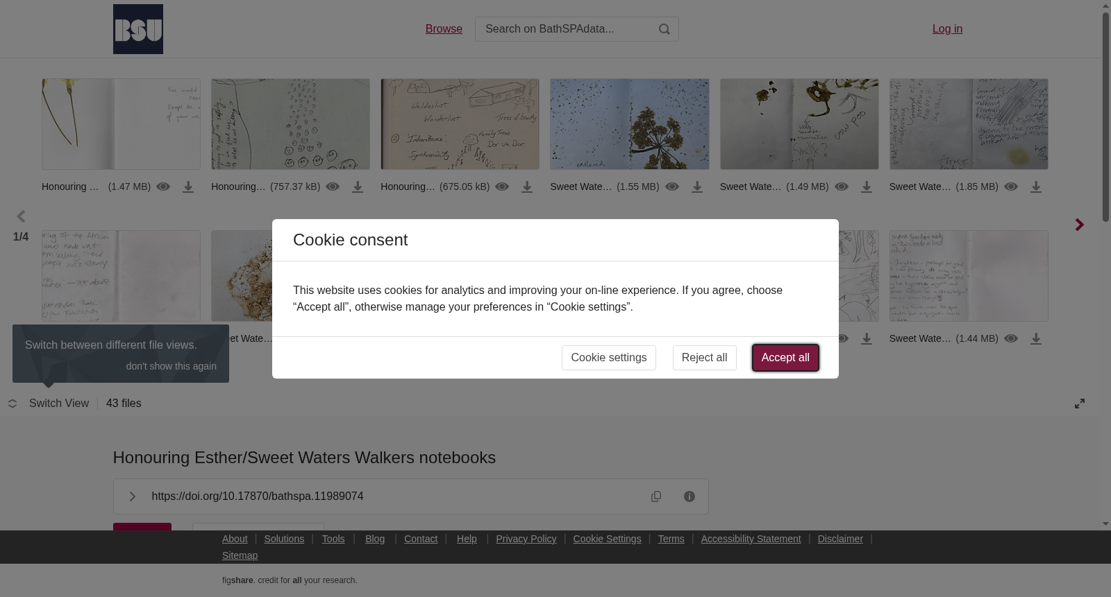 Honouring Esther/Sweet Waters Walkers notebooks 数据集图片