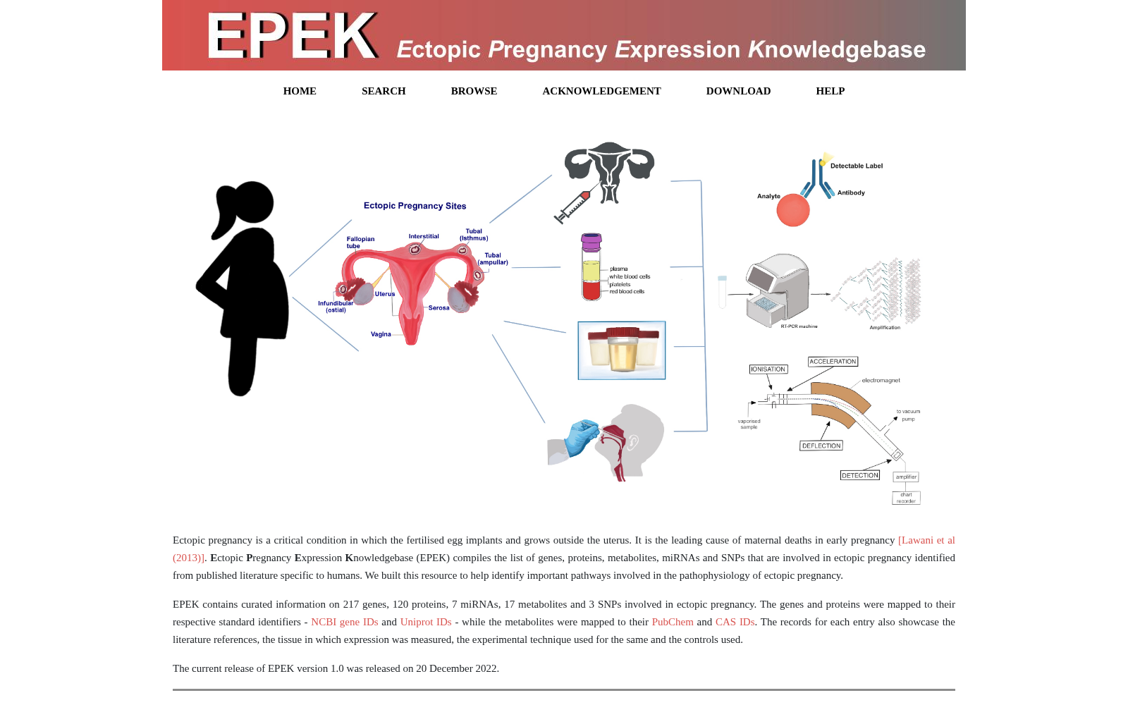 EPEK 数据集图片
