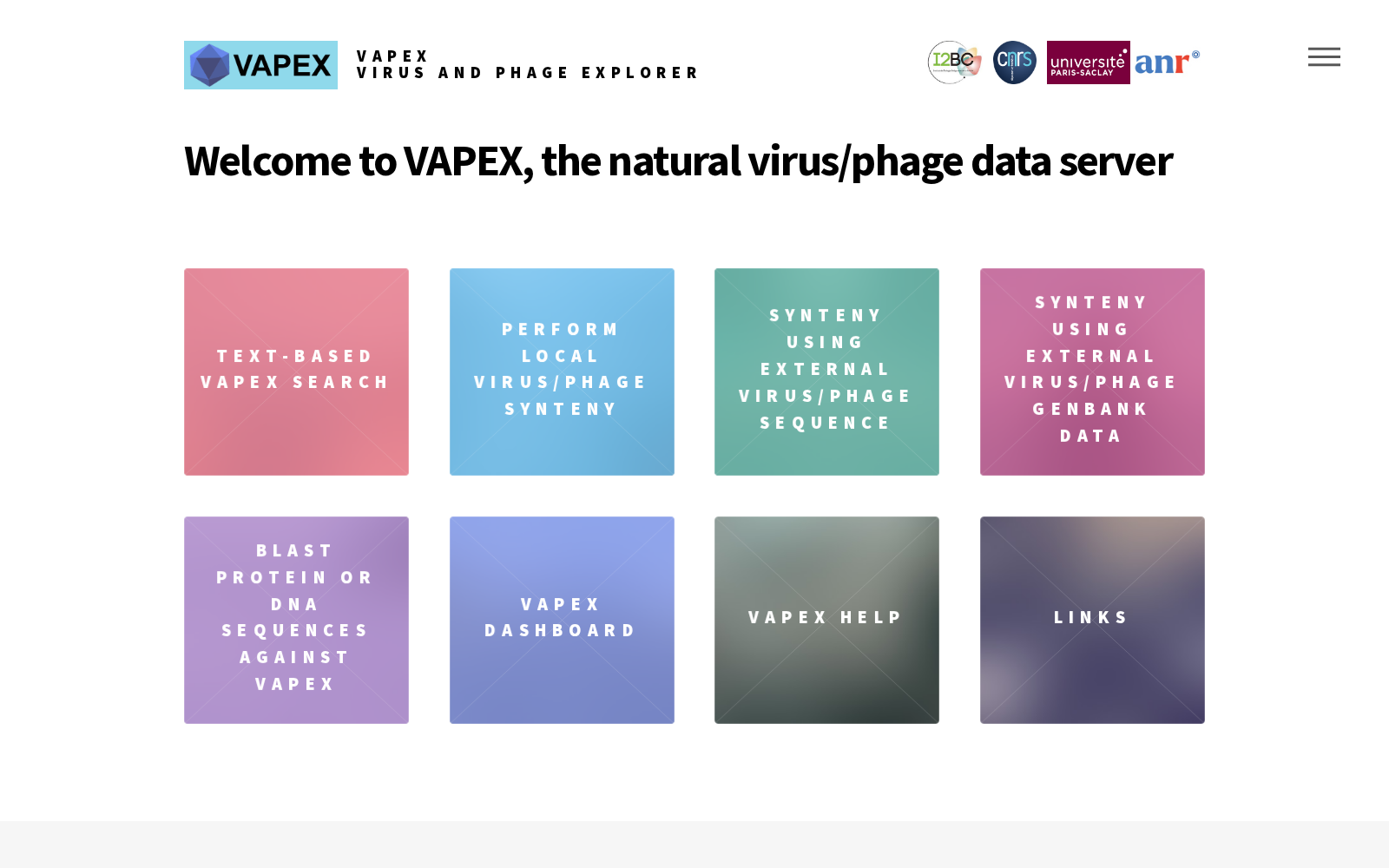 VAPEX 数据集图片
