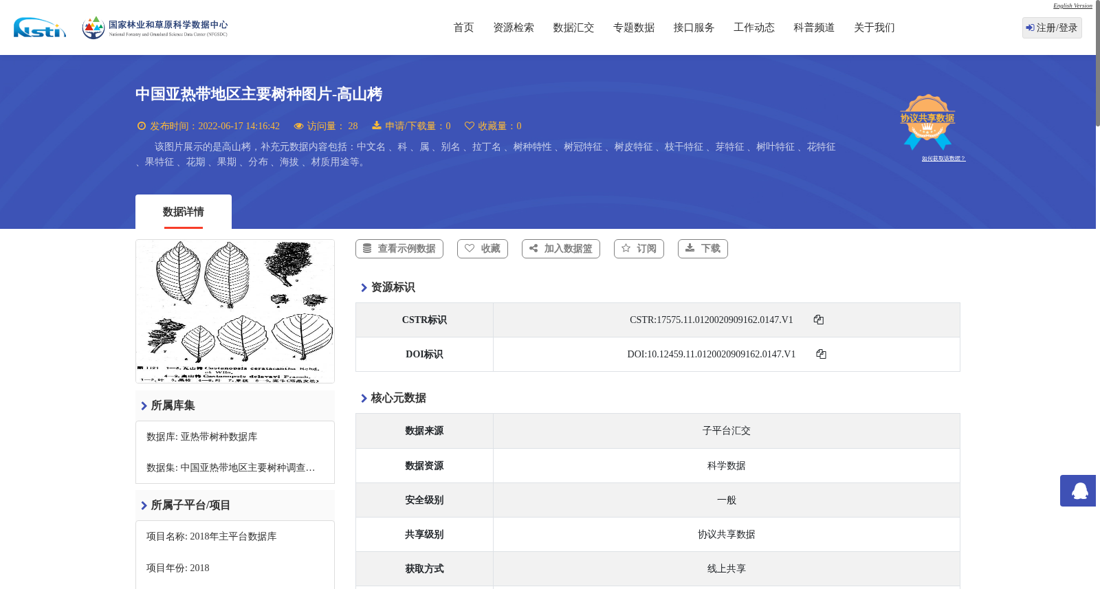 main_image_url