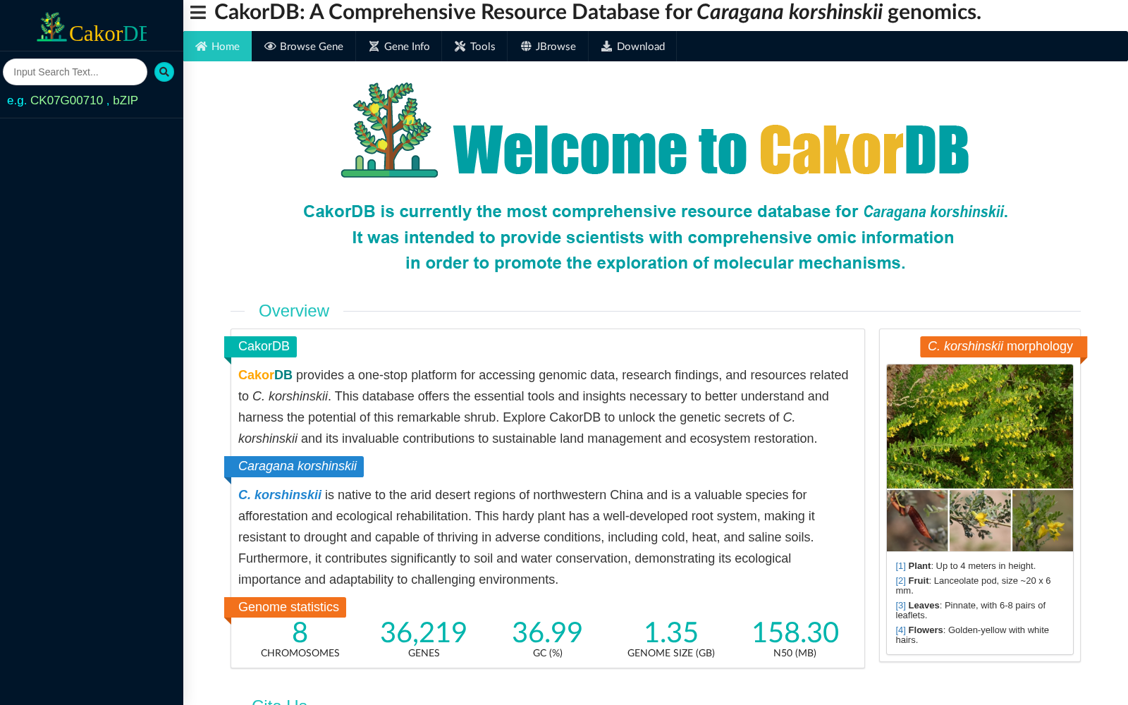 CakorDB 数据集图片