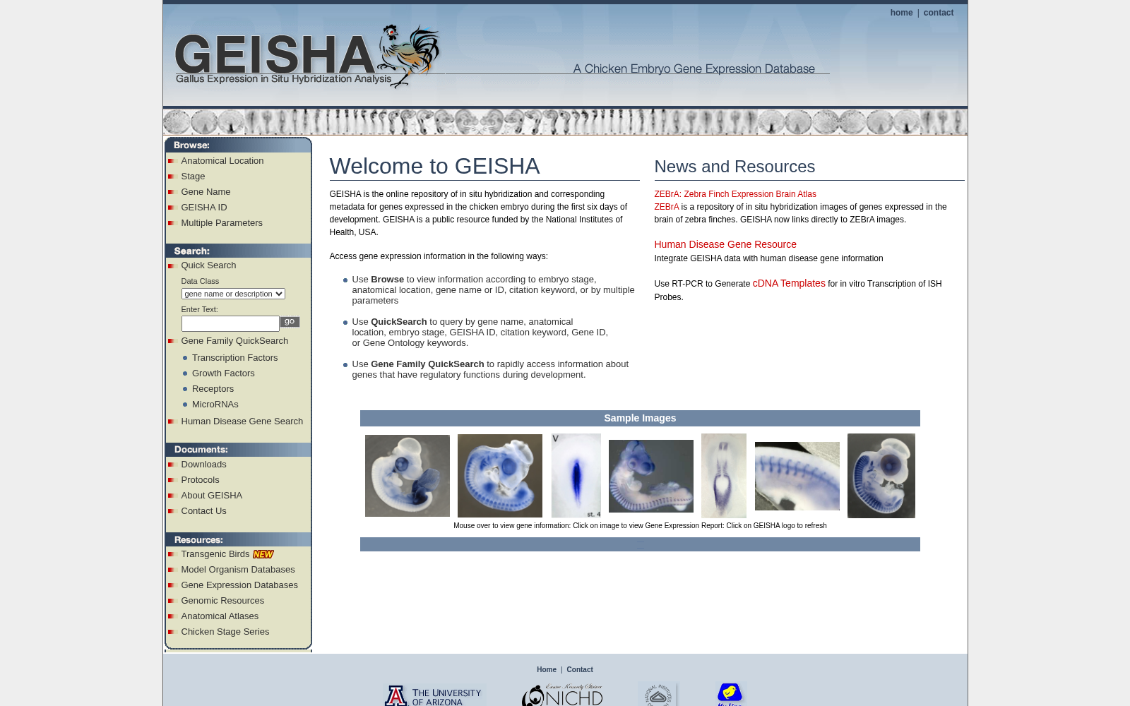 GEISHA 数据集图片