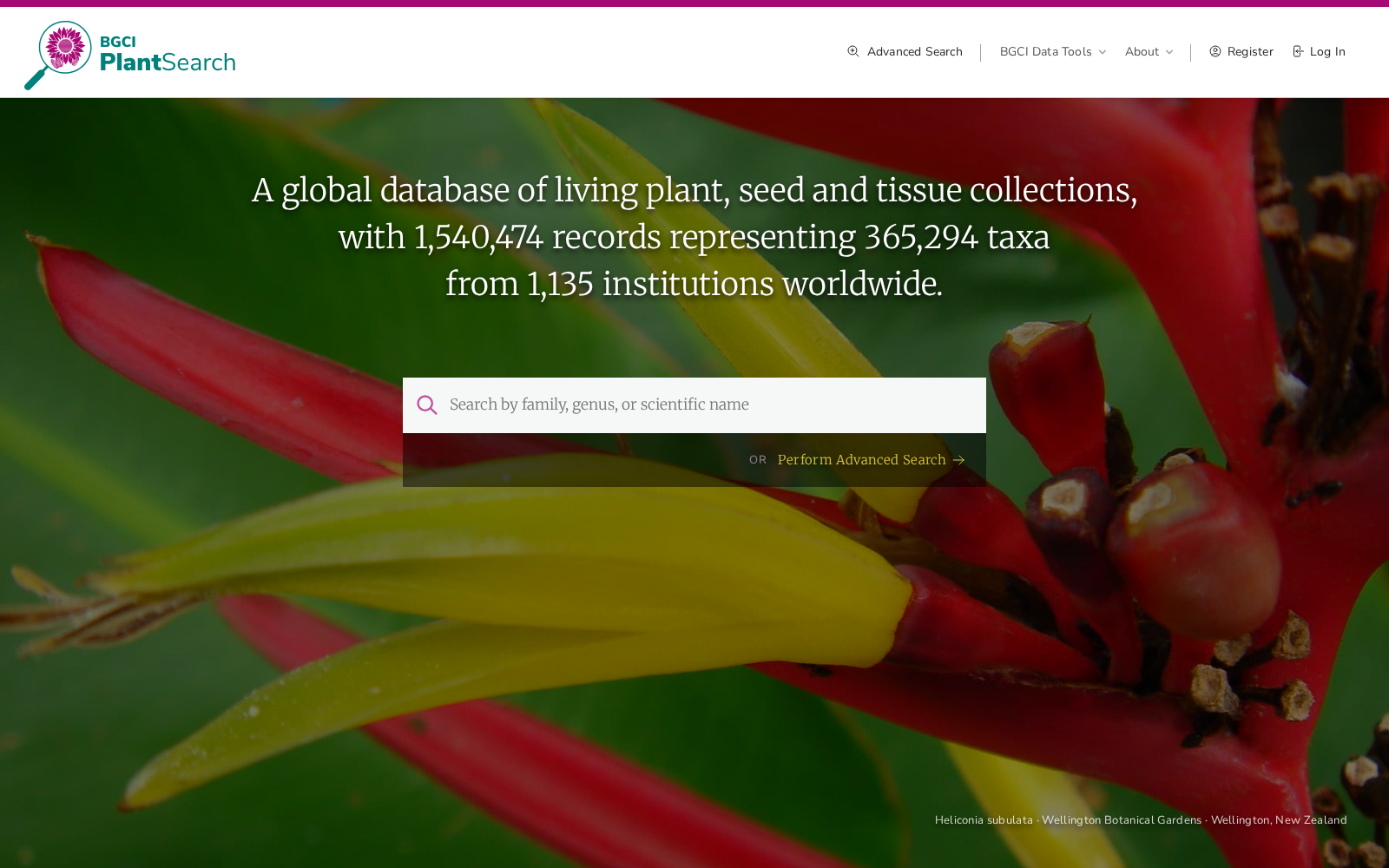 BGCI PlantSearch 数据集图片