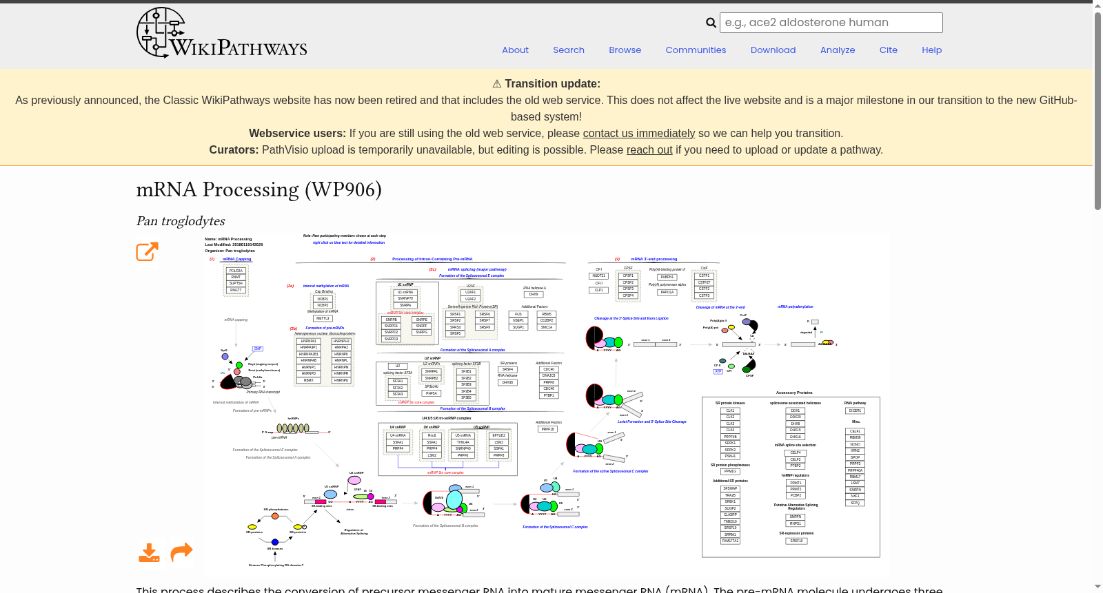 mRNA Processing 数据集图片