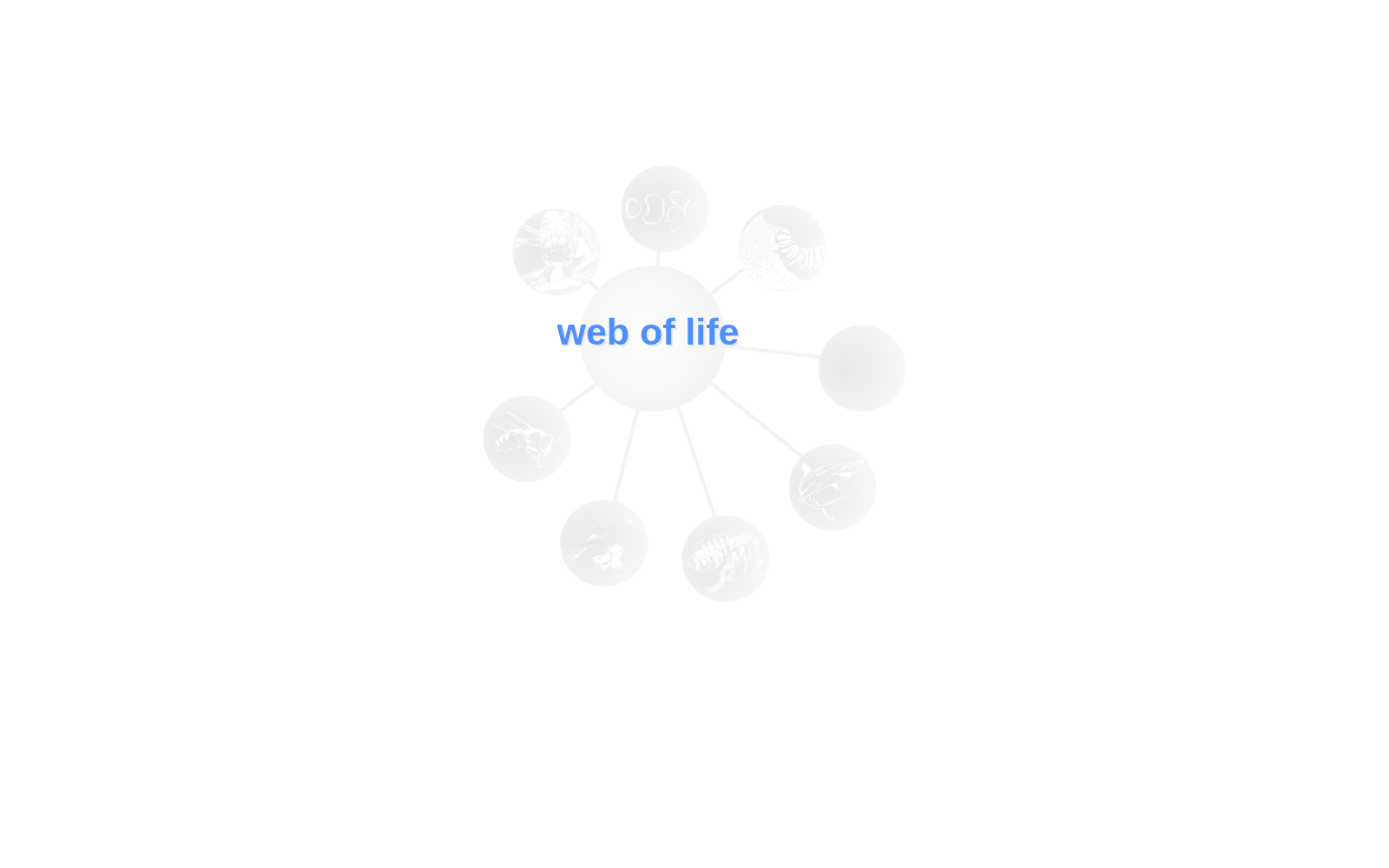 Web of Life 数据集图片