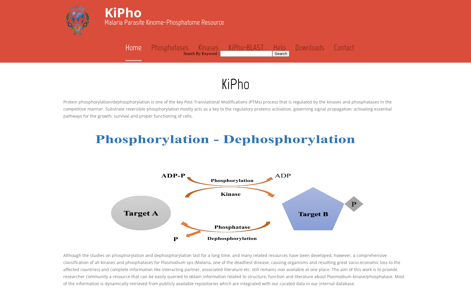 KiPho 数据集图片
