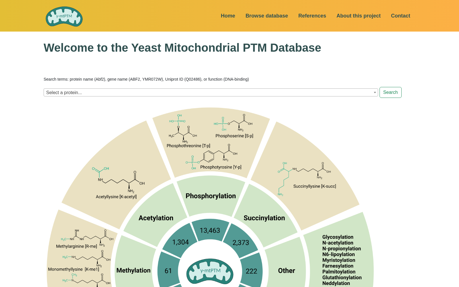 y-mtPTM 数据集图片