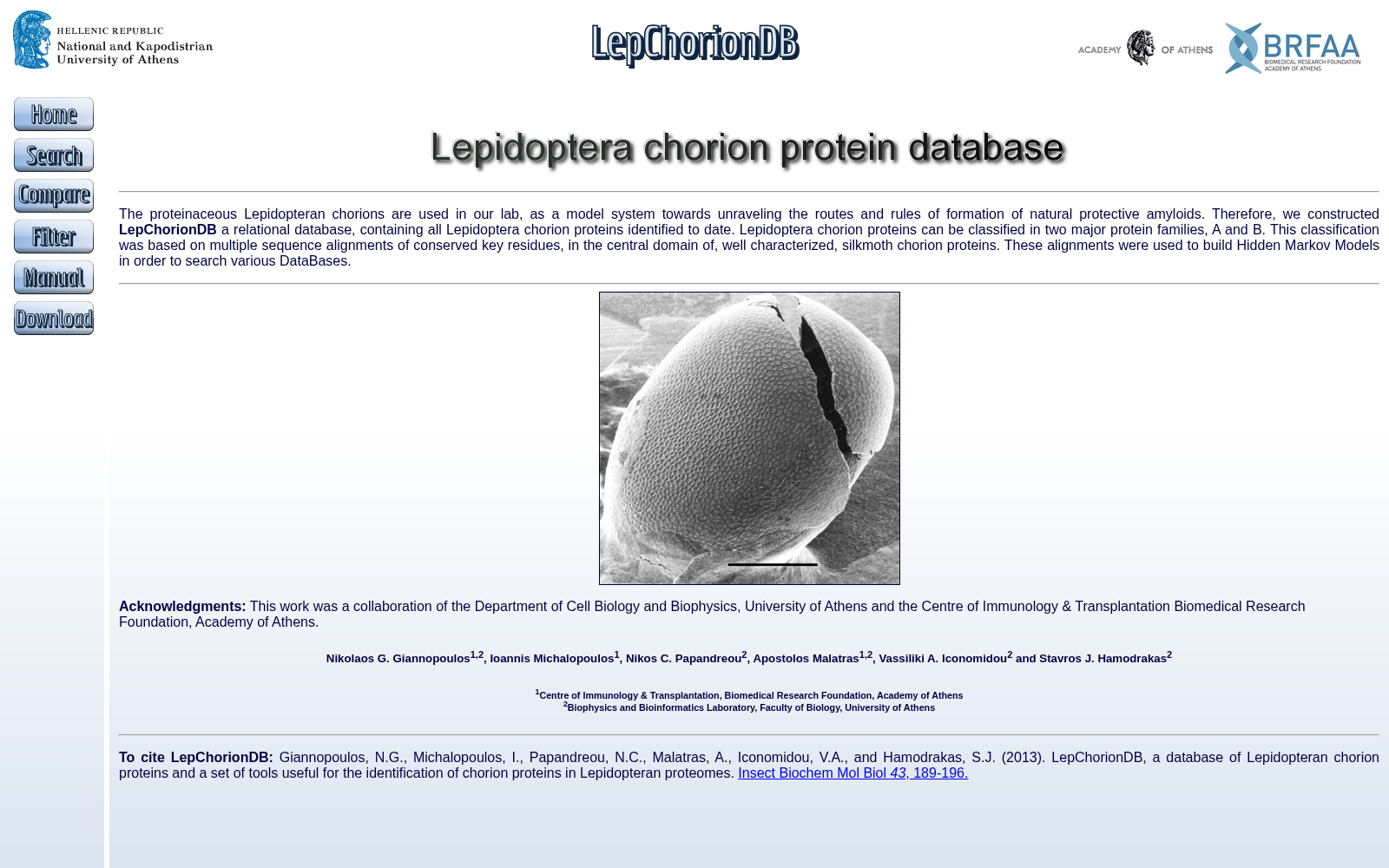 LepChorionDB 数据集图片