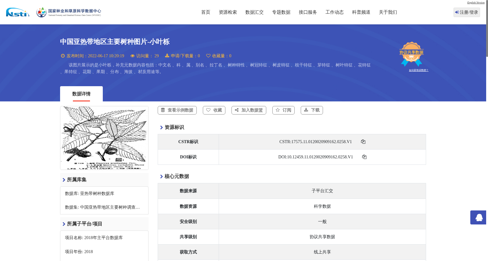 main_image_url