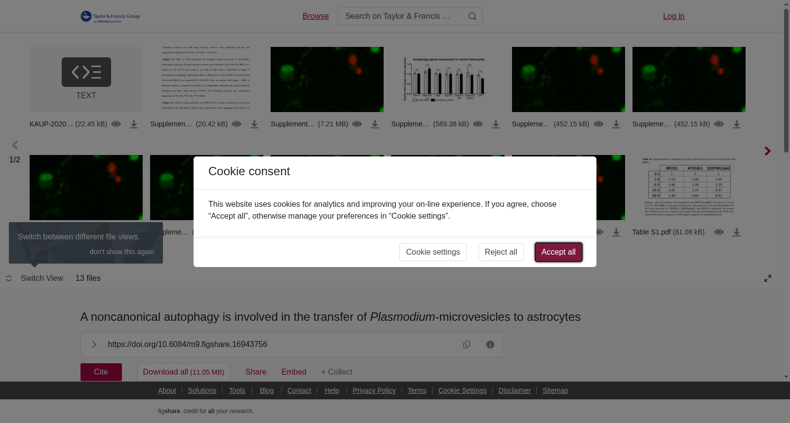 A noncanonical autophagy is involved in the transfer of <i>Plasmodium</i>-microvesicles to astrocytes 数据集图片