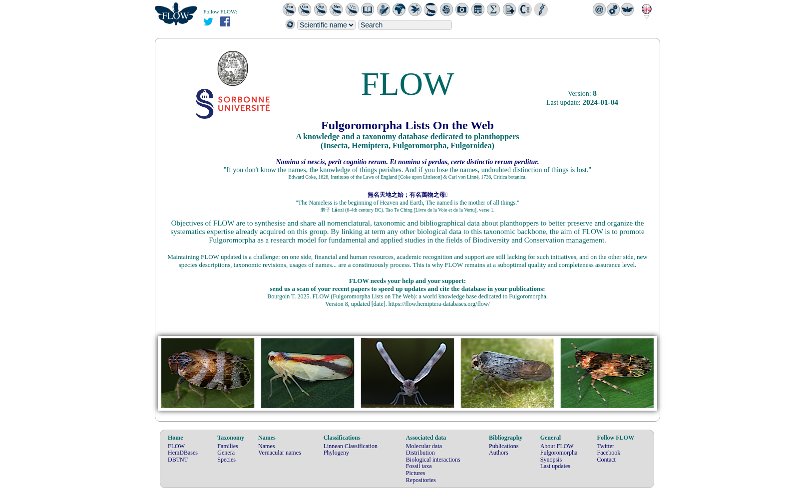 Fulgoromorpha Lists On the Web 数据集图片