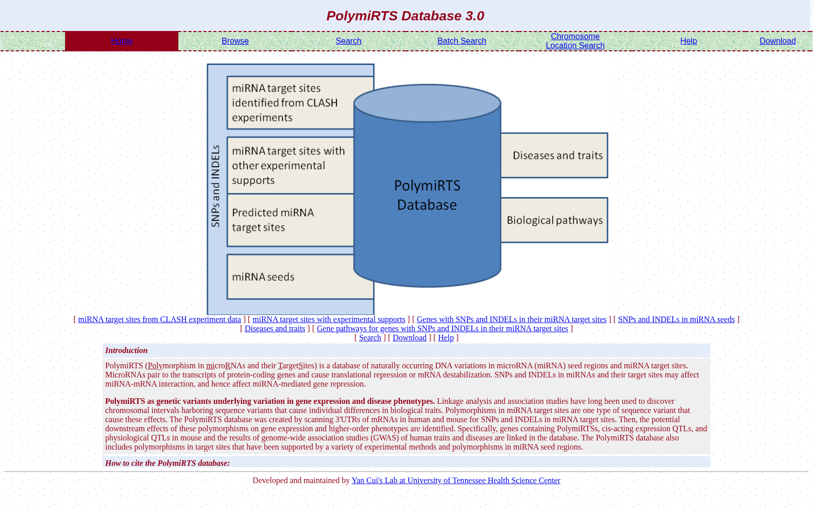 Polymorphism in microRNAs and their TargetSites 数据集图片