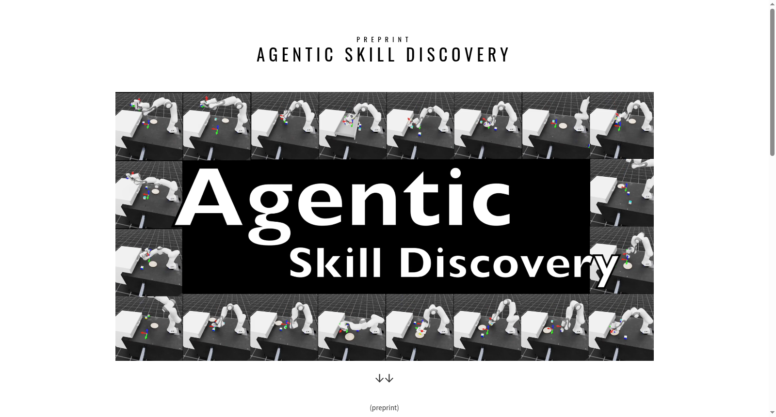 Skill Options Dataset 数据集图片