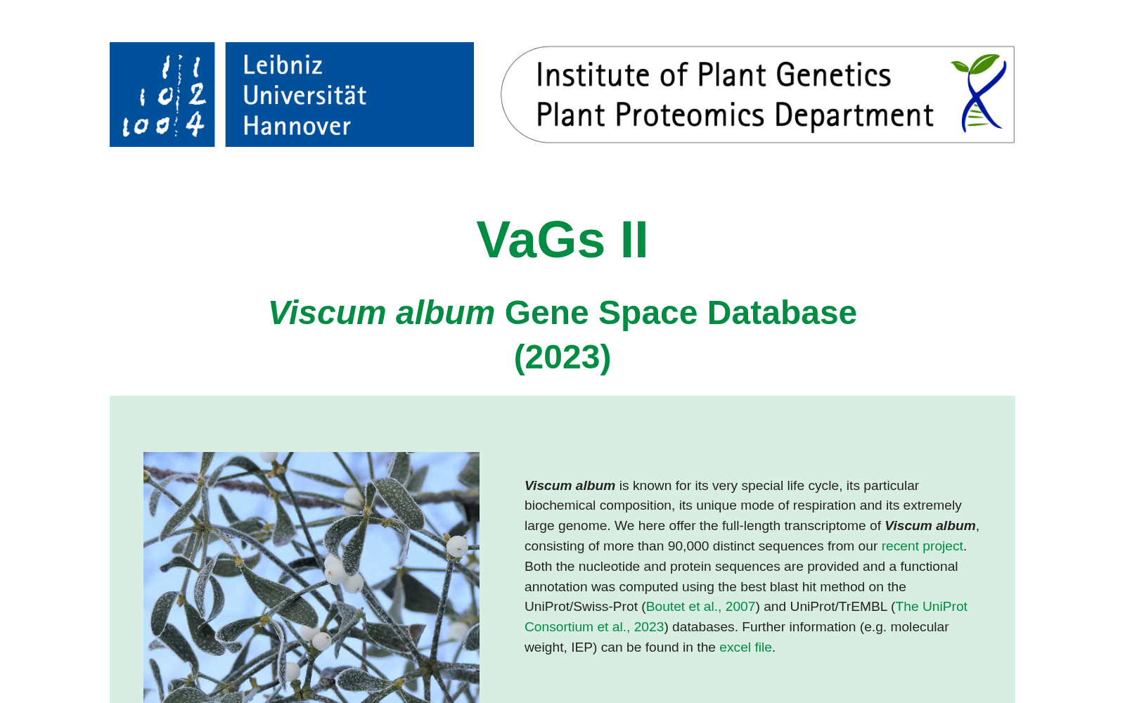 VaGs II 数据集图片
