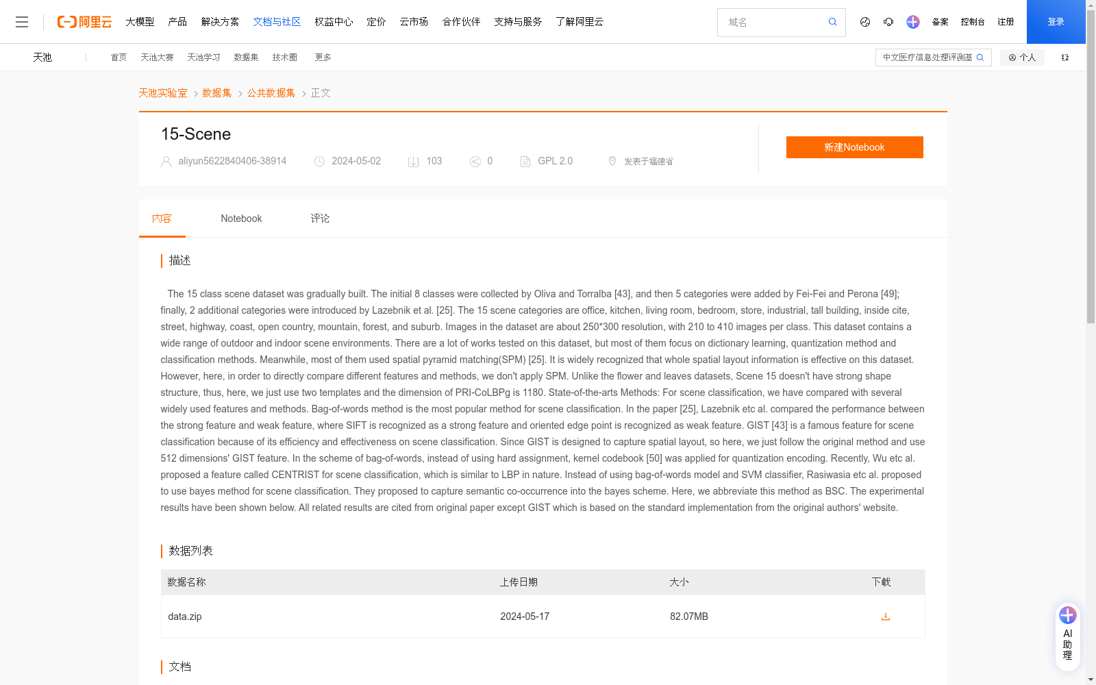main_image_url