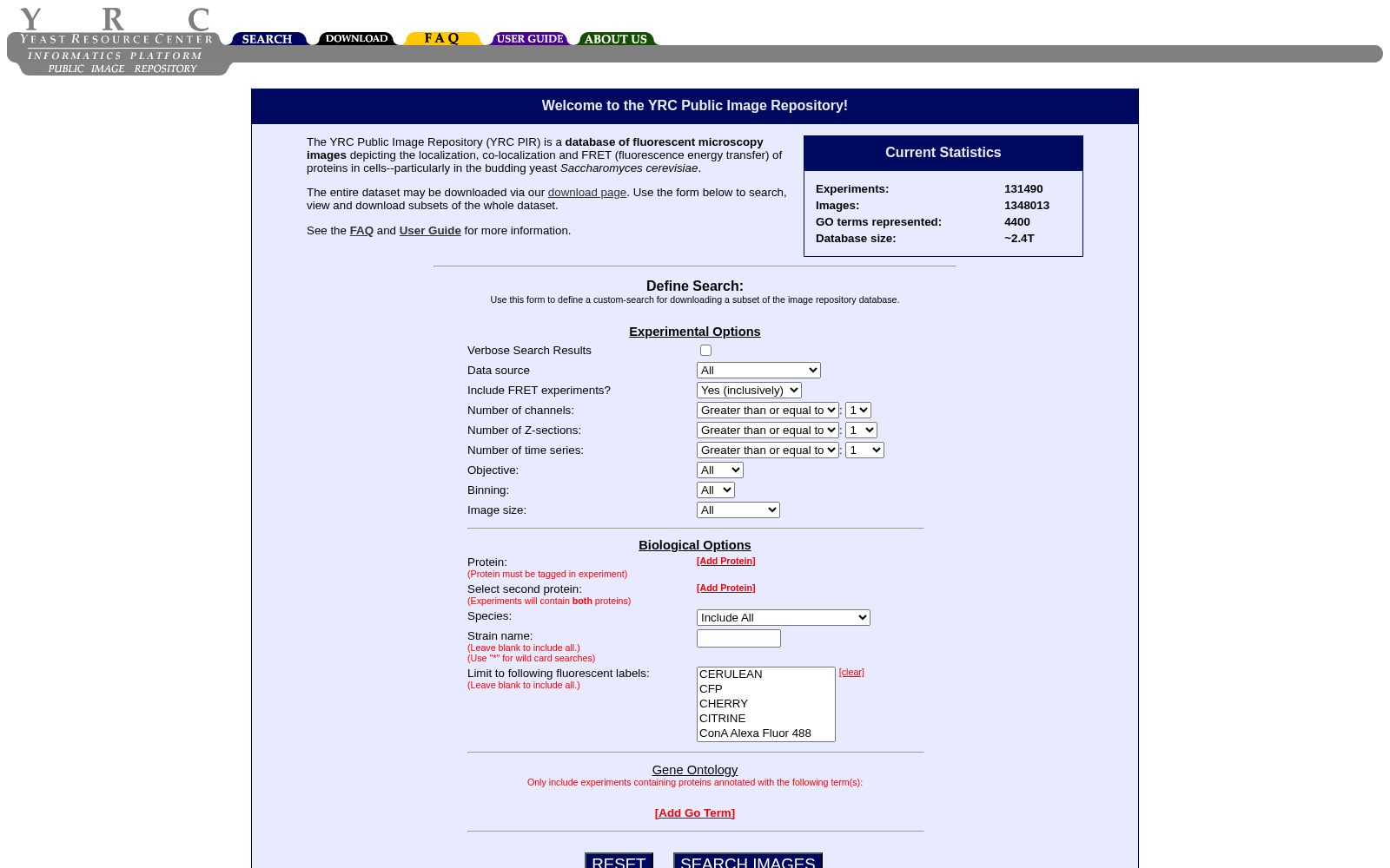 main_image_url