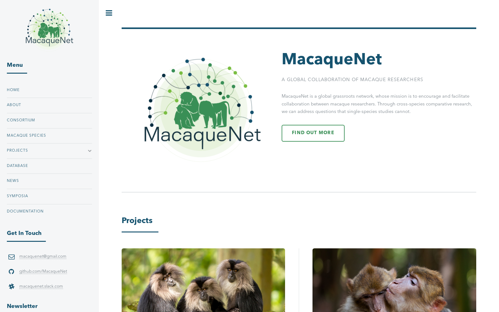 MacaqueNet 数据集图片
