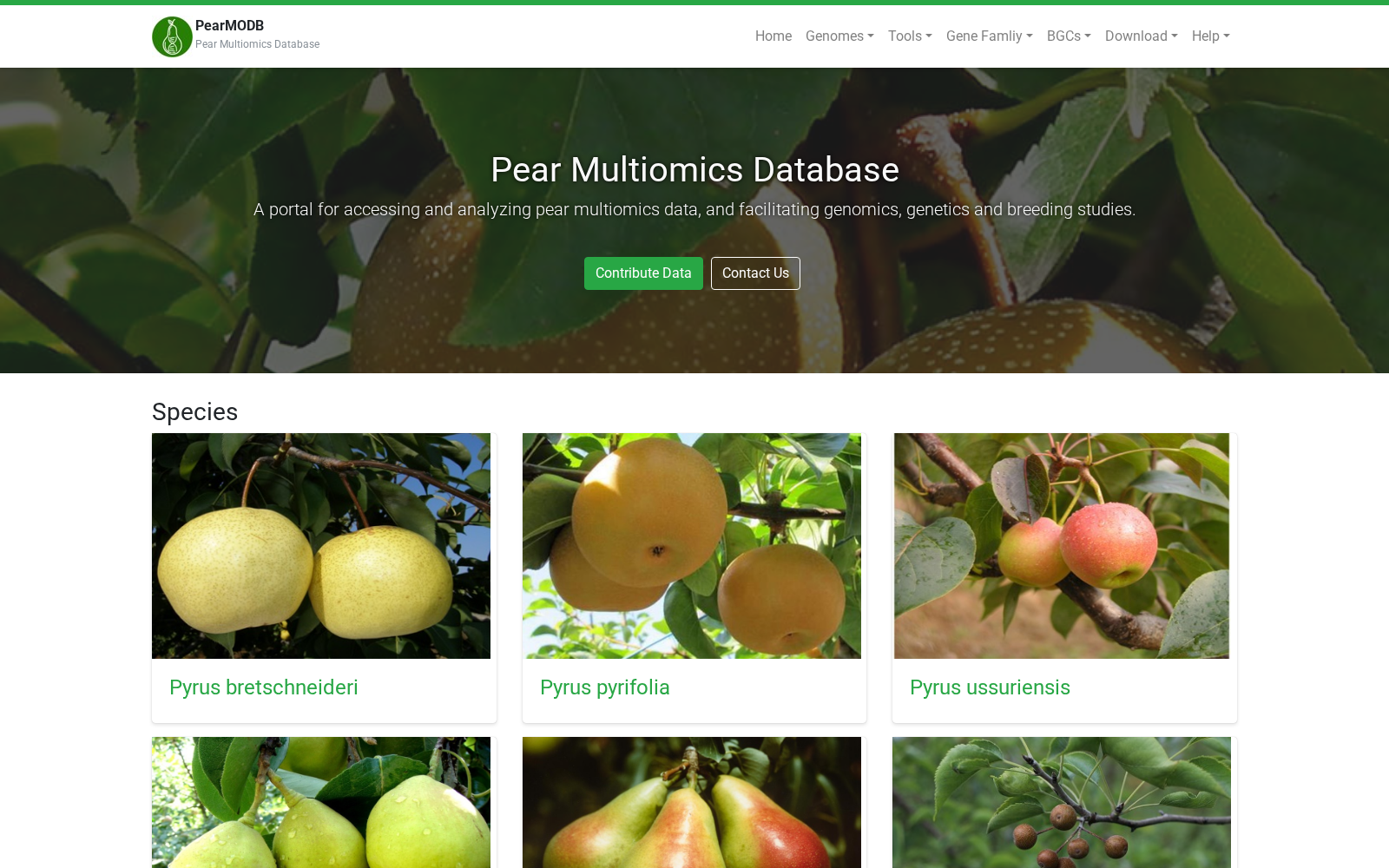 PearMODB 数据集图片