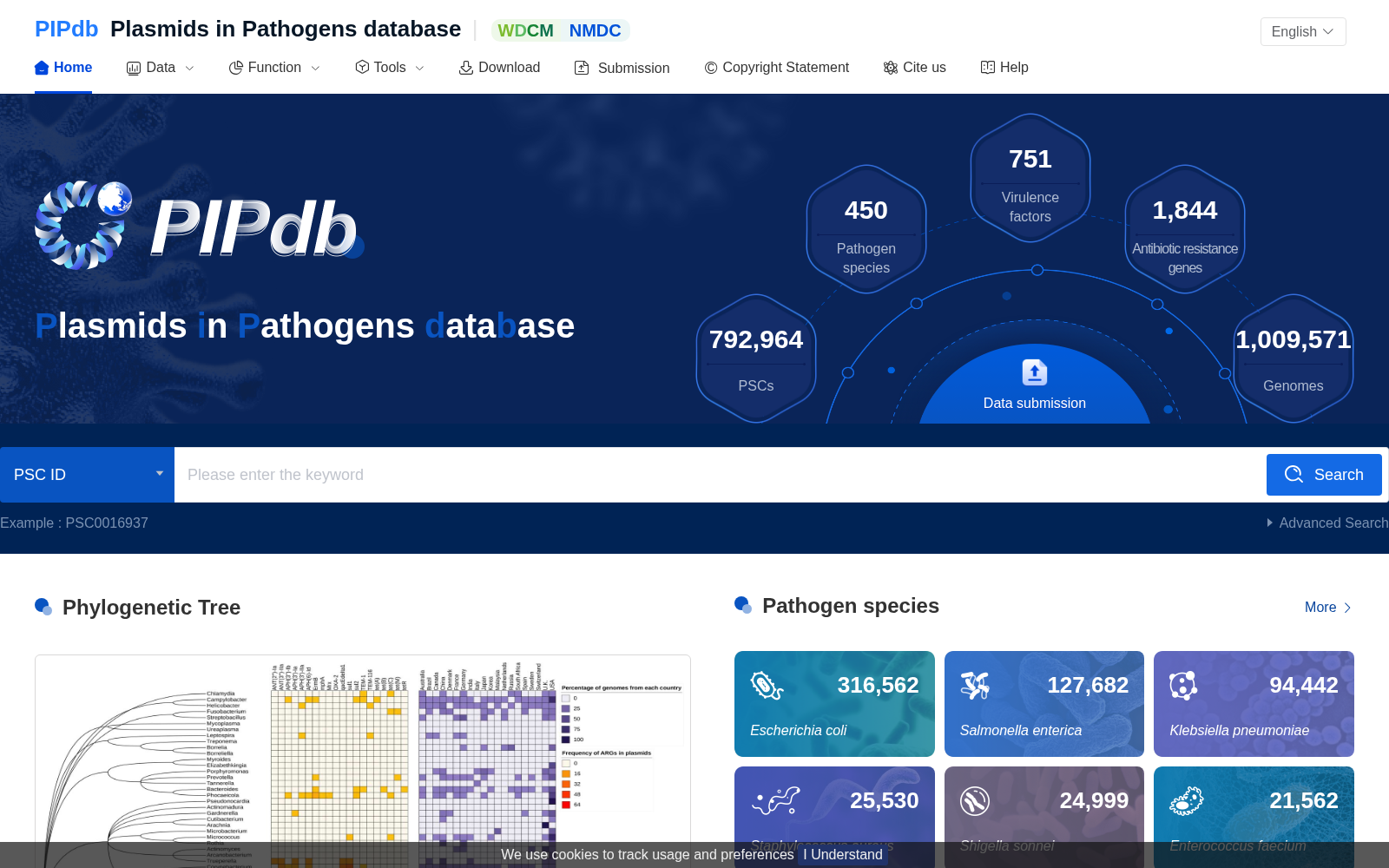 PIPdb 数据集图片