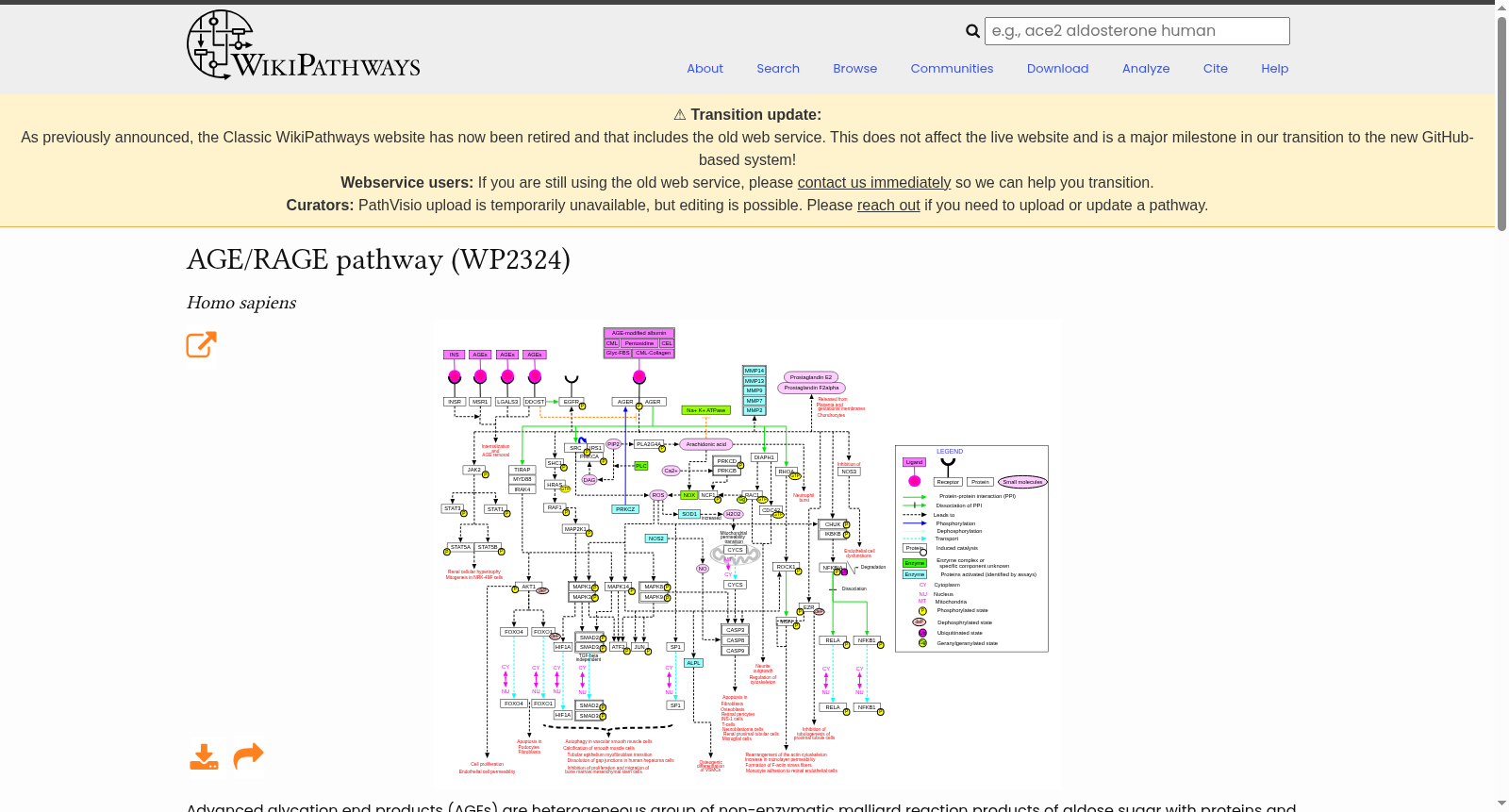 AGE/RAGE pathway 数据集图片