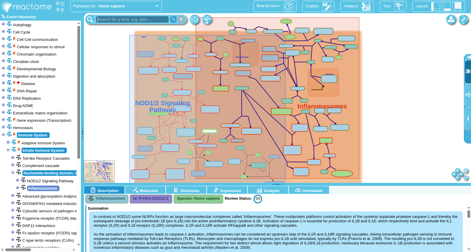 Inflammasomes 数据集图片