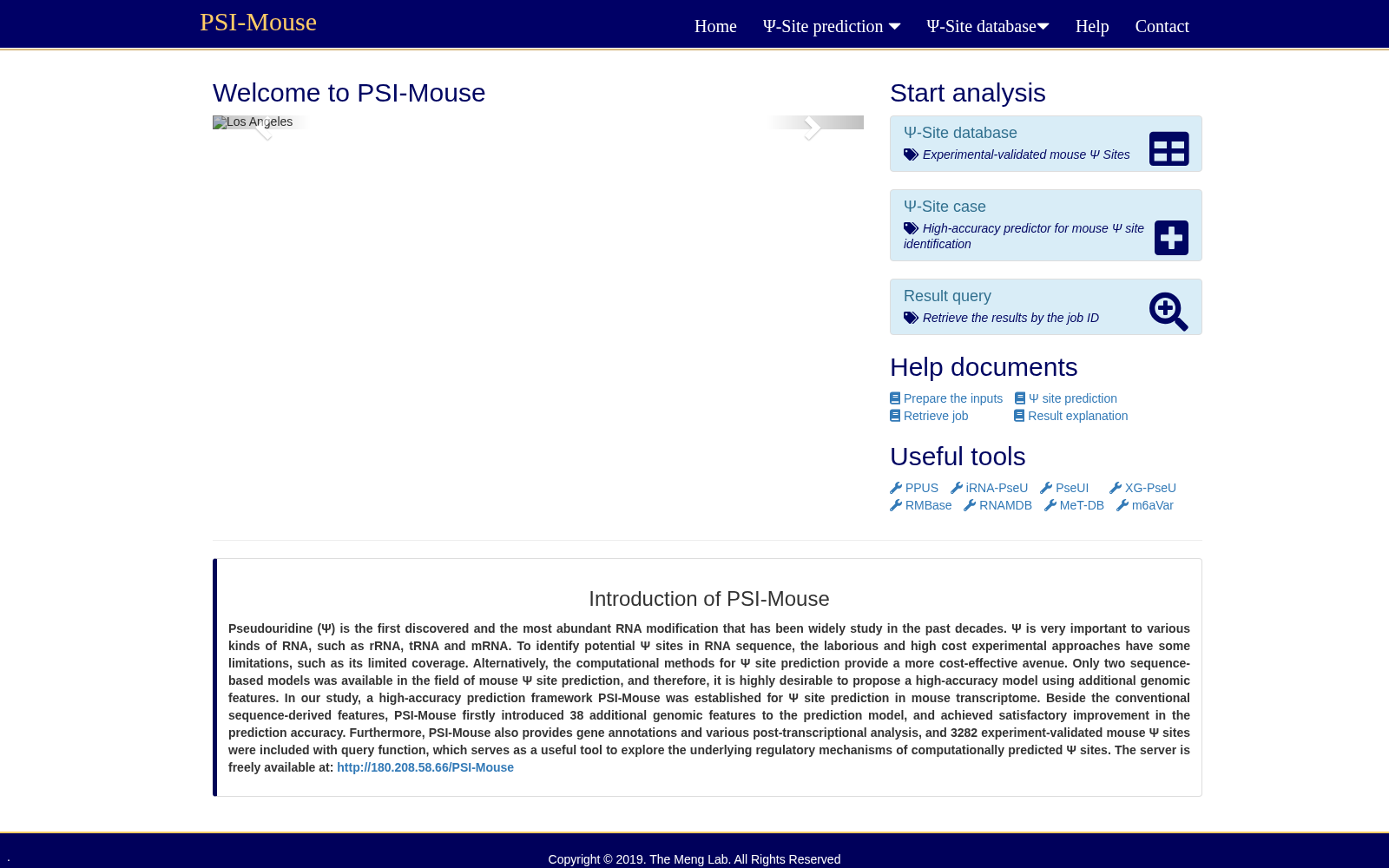 PSI-MOUSE 数据集图片
