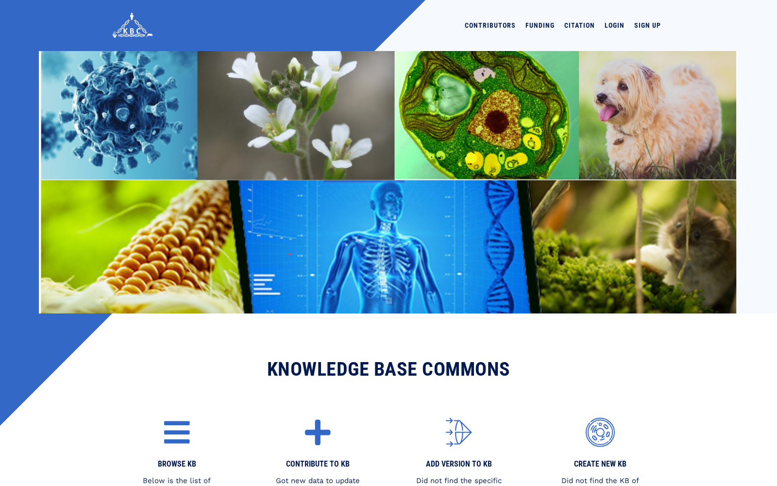 KBCommons 数据集图片