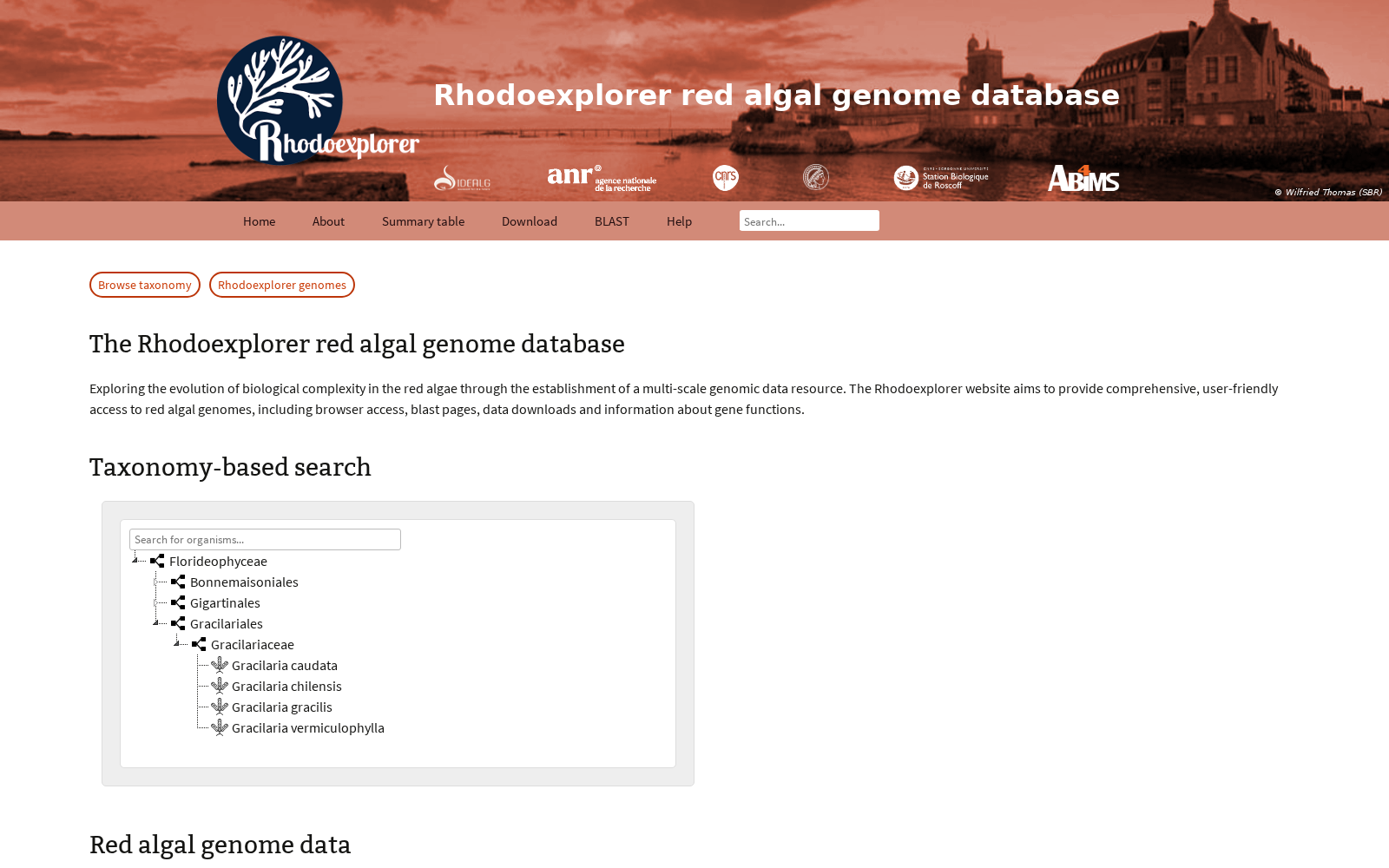 Rhodoexplorer 数据集图片