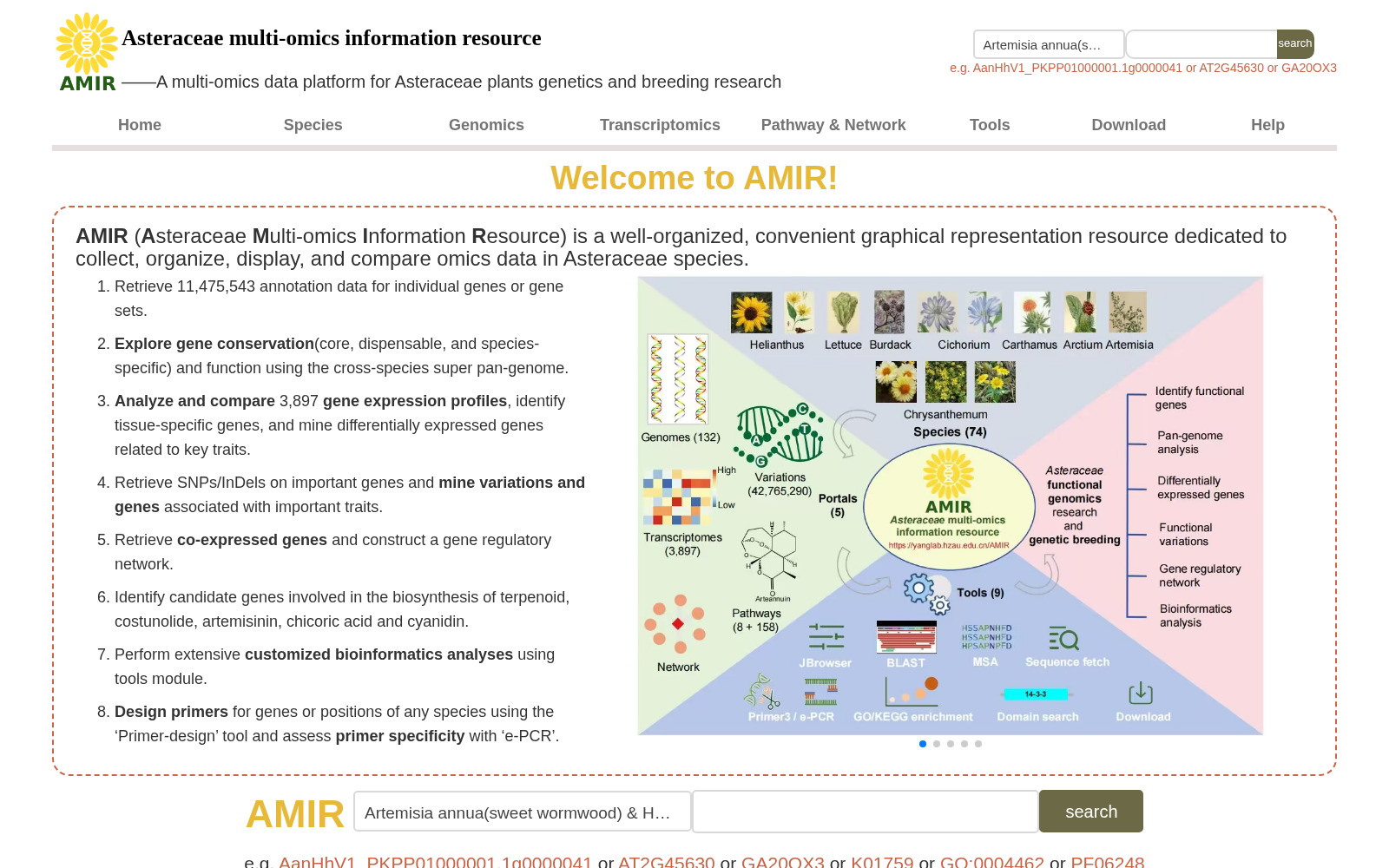 AMIR 数据集图片