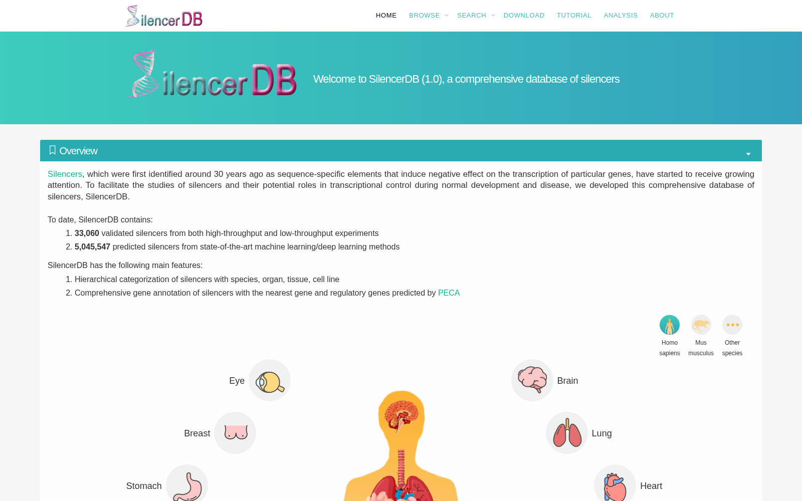 SilencerDB 数据集图片