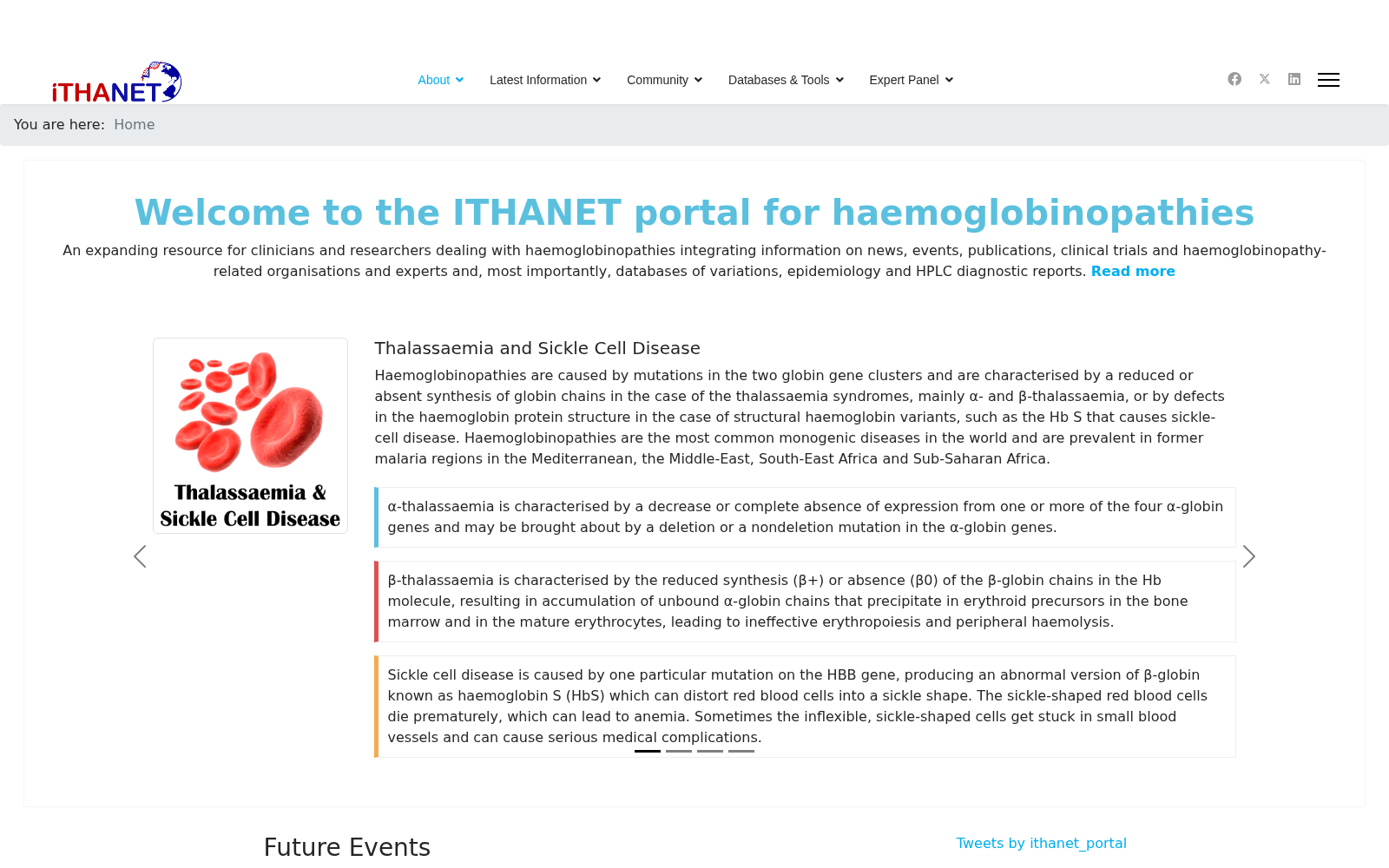 The ITHANET Portal 数据集图片