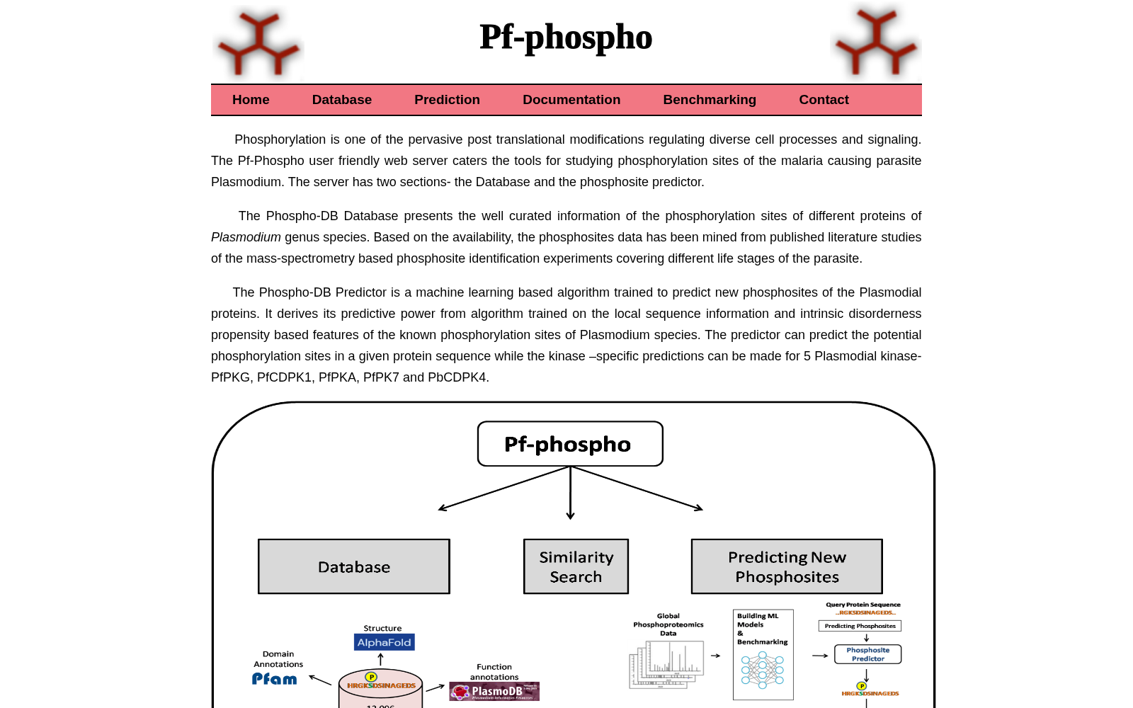 Pf-Phospho 数据集图片